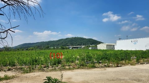 물건 사진 88