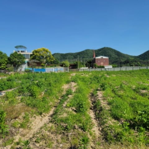 물건 사진 31