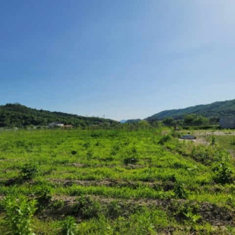 물건 사진 32