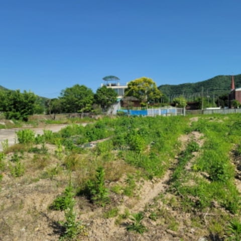 물건 사진 34