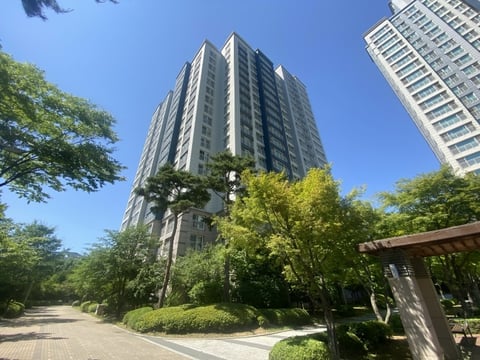 물건 사진 8