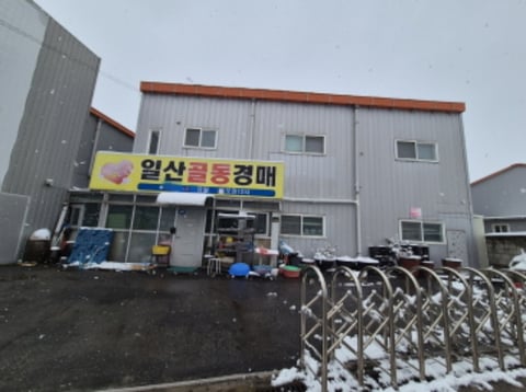 물건 사진 11
