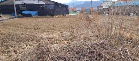물건 사진 1