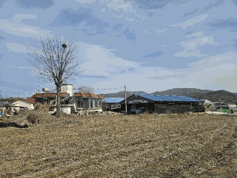 물건 사진 7