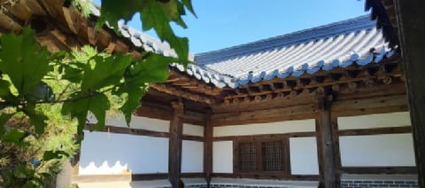 물건 사진 12