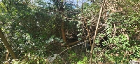 물건 사진 12