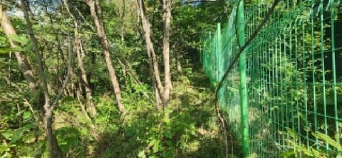 물건 사진 18