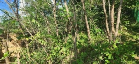 물건 사진 19