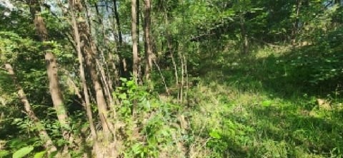 물건 사진 20