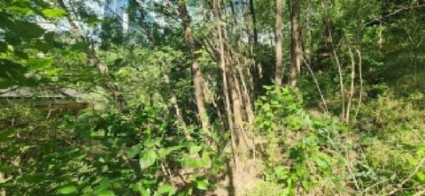 물건 사진 21