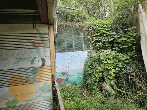 물건 사진 32