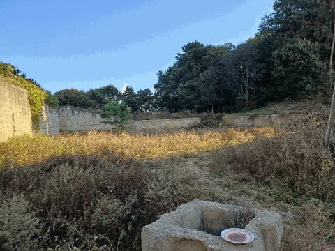 물건 사진 21
