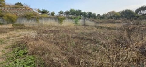 물건 사진 10