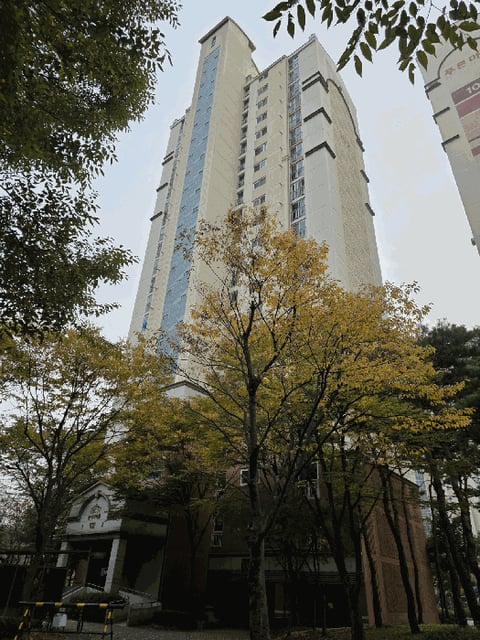 물건 사진 13