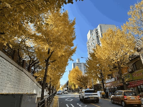 물건 사진 15