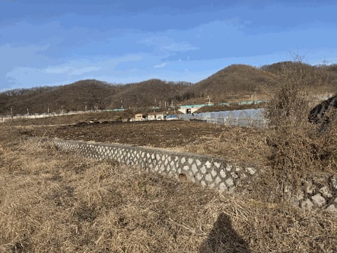 물건 사진 8
