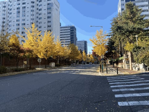 물건 사진 12