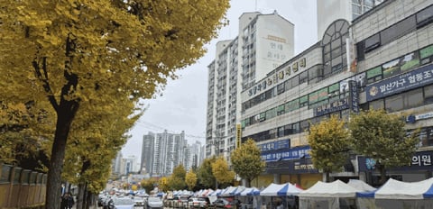 물건 사진 12