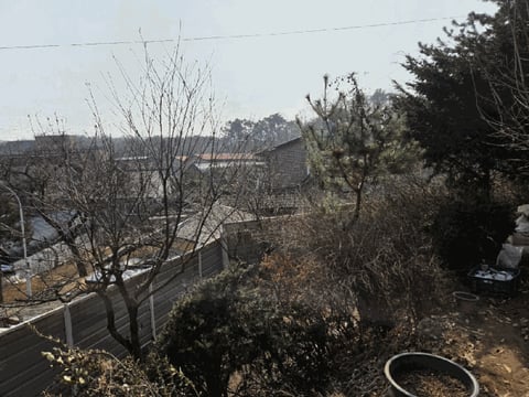 물건 사진 17