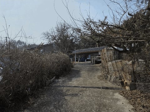 물건 사진 19