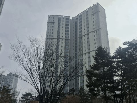 물건 사진 7