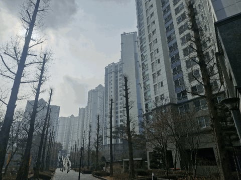 물건 사진 10