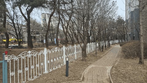 물건 사진 10