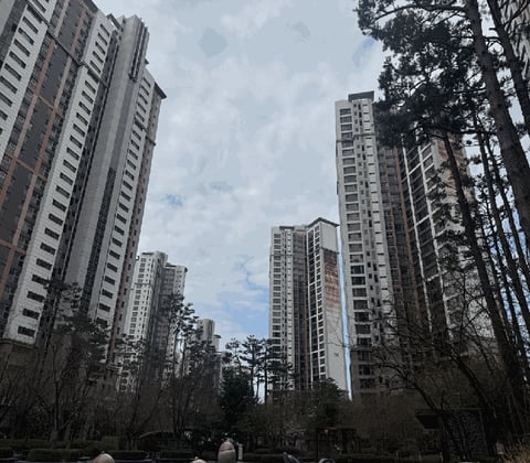 물건 사진 11