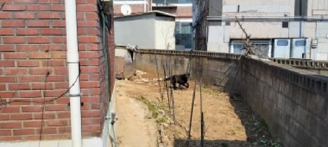 물건 사진 3