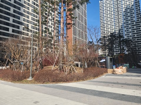 물건 사진 7