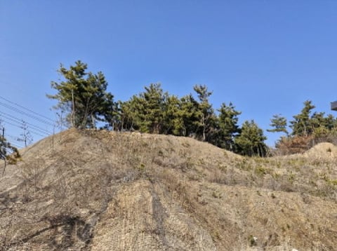 물건 사진 4