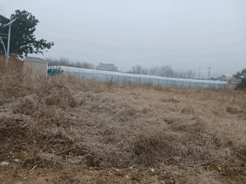 물건 사진 40