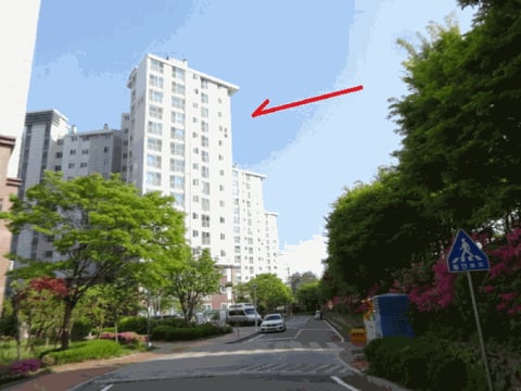 물건 사진 61