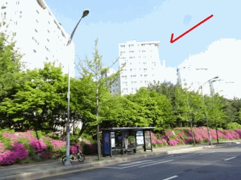 물건 사진 67