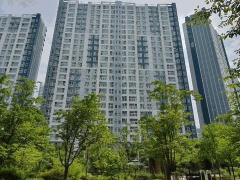물건 사진 12