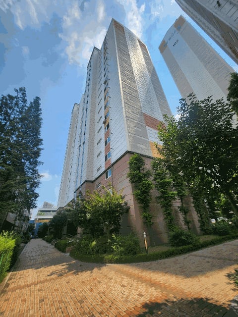 물건 사진 11