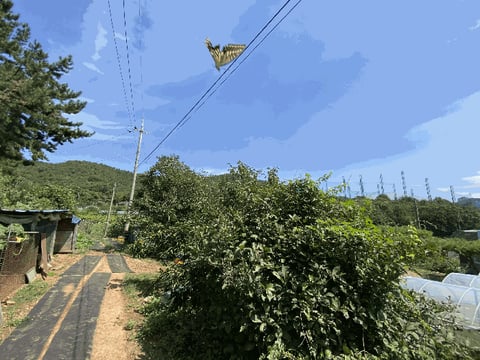 물건 사진 28