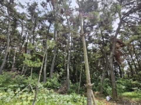 물건 사진 3