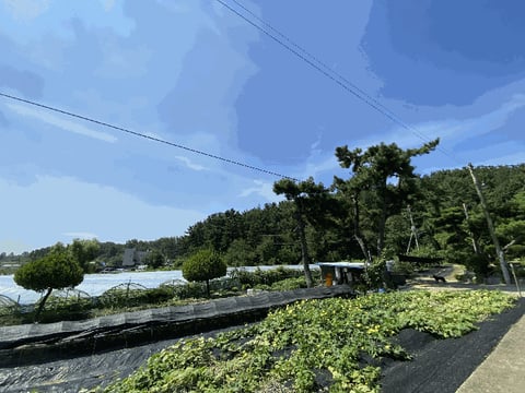 물건 사진 22