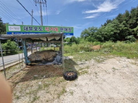물건 사진 5