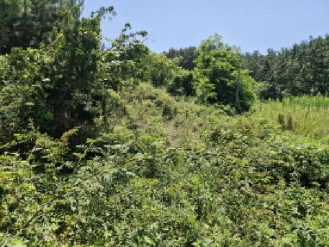 물건 사진 3
