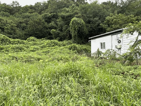 물건 사진 13