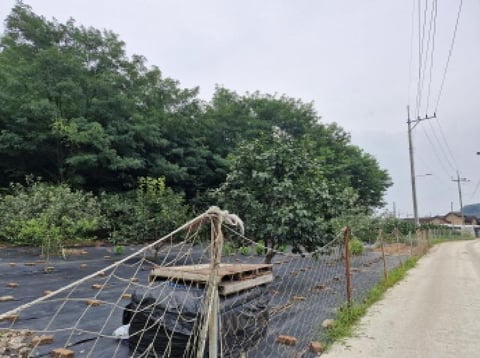 물건 사진 5