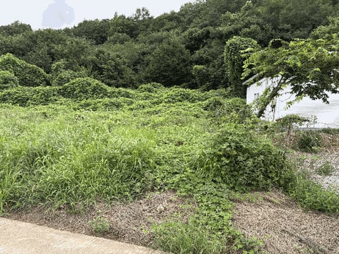 물건 사진 10