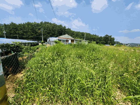 물건 사진 11