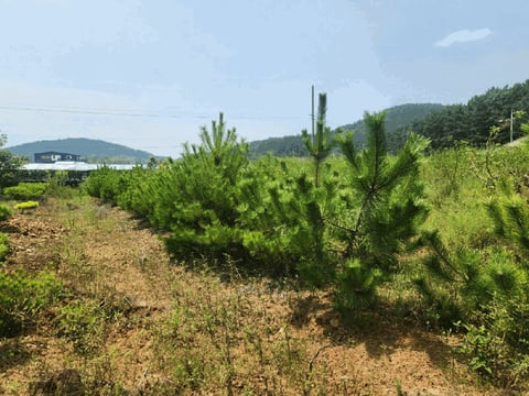 물건 사진 12