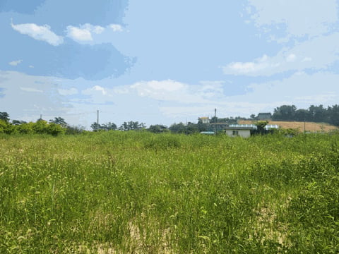 물건 사진 16