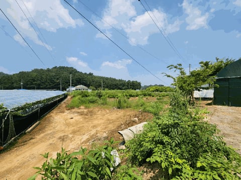 물건 사진 18