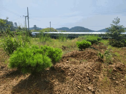 물건 사진 19