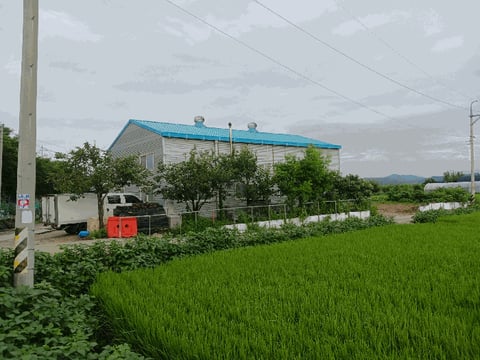 물건 사진 21
